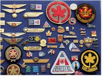 tmb Airline pins