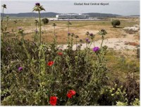 tmb ciudad real central airport