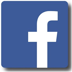 facebook logo 250x250