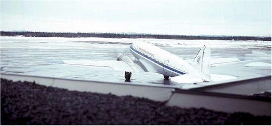 Northern Wings / Les Ailes du Nord